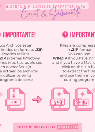 Box 12 - Potato Chip can dome shaker rotating 37gr, Box Template, Digital File SVG or Studio, Favor Box - Cricut and Silhouette