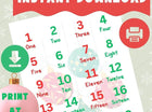 Christmas Number Poster for Kids | Printable Learning Decor | Numbers & Figures | 8.5x11 PDF | Instant Download