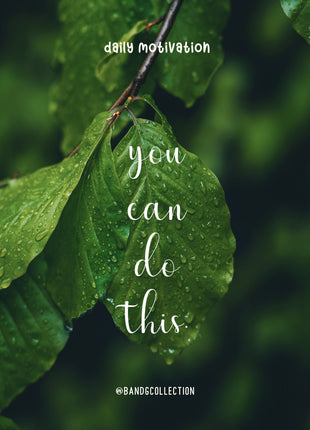 Ultimate 50-Font Bundle TTF OTF SVG PNG for Cricut Canva