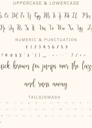 Alderta Handwritten Signature Script Font with Elegant Swash Tails