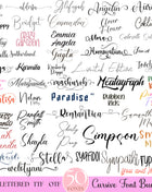 Ultimate 50 Handwritten Script Fonts Bundle for Cricut Canva Pro
