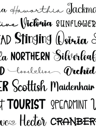 100 Farmhouse Script Font Bundle for Canva, Procreate, Commercial Use