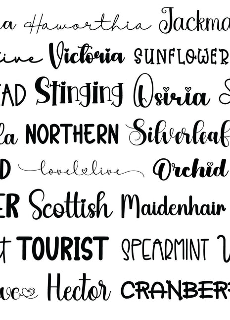 100 Farmhouse Script Font Bundle for Canva, Procreate, Commercial Use