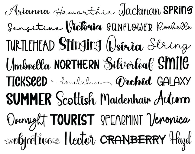 100 Farmhouse Script Font Bundle for Canva, Procreate, Commercial Use