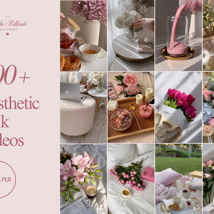 Faceless video, aesthetic video, faceless reels, luxury reels, mega reels bundle, faceless marketing, plr videos pack, mrr resell rights