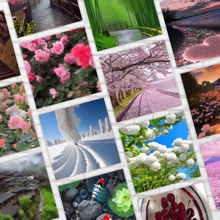1200+ Nature Reels | Faceless Video | MRR PLR | Stock Video | Faceless Reels