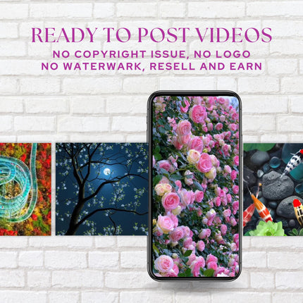 1200+ Nature Reels | Faceless Video | MRR PLR | Stock Video | Faceless Reels