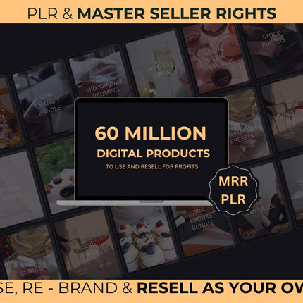 Digital Products Bundle 60 Million Ideal Passive Income, Millions of DFY Content,  Private Label Rights & Master Resell Rights MRR PLR