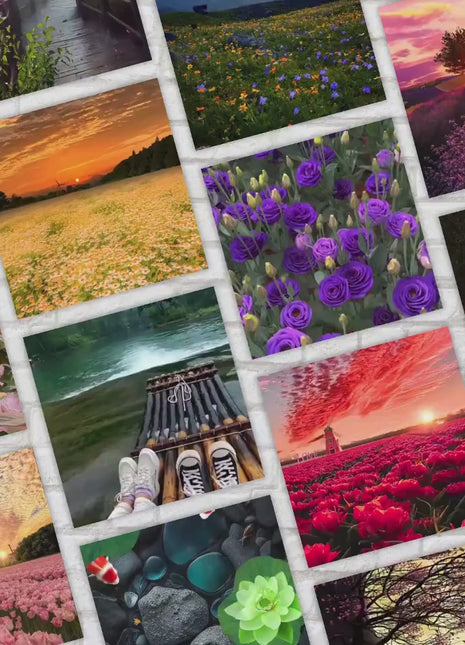 1200+ Nature Reels | Faceless Video | MRR PLR | Stock Video | Faceless Reels